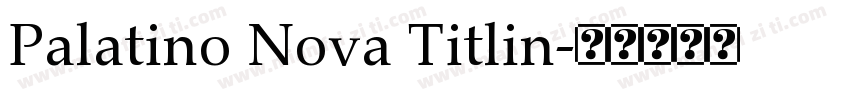 Palatino Nova Titlin字体转换